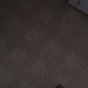 Meet your Posher, Wil